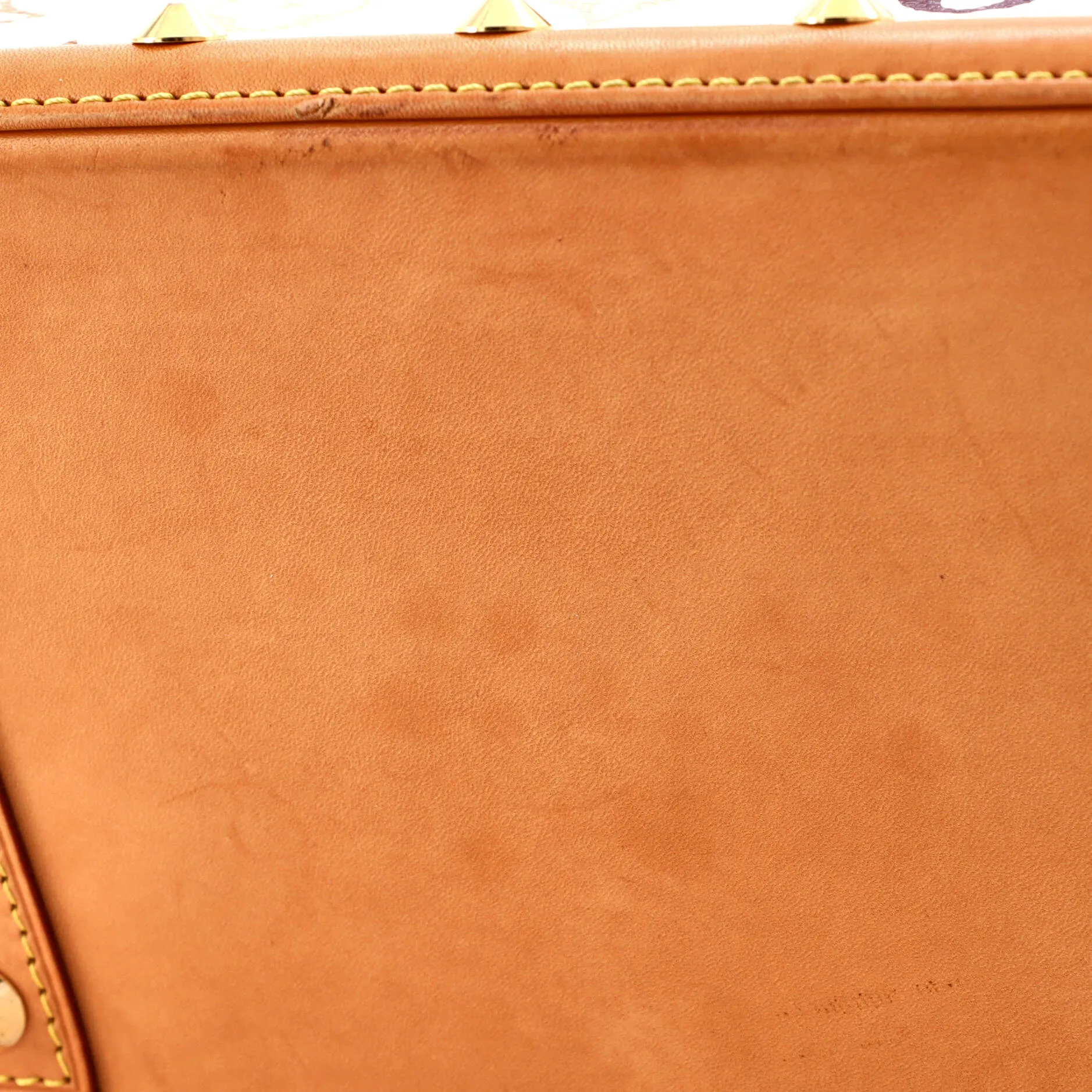 Alma NM Handbag Monogram Multicolor PM
