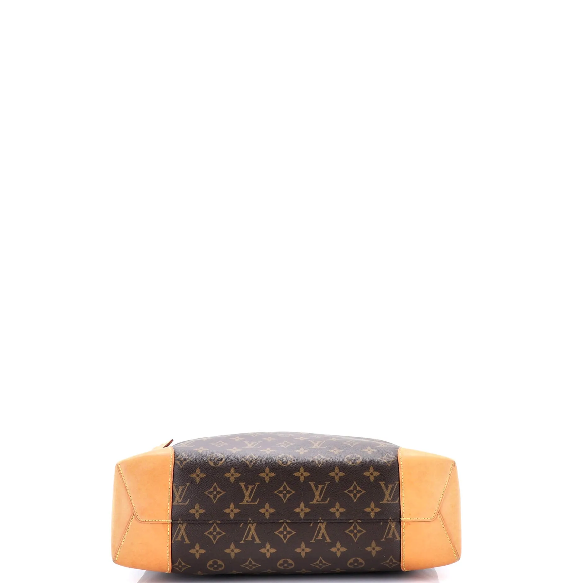 Berri Handbag Monogram Canvas MM