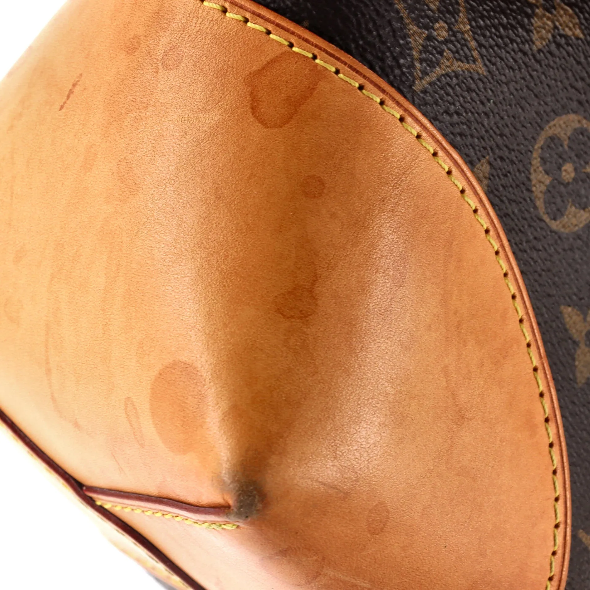 Berri Handbag Monogram Canvas MM