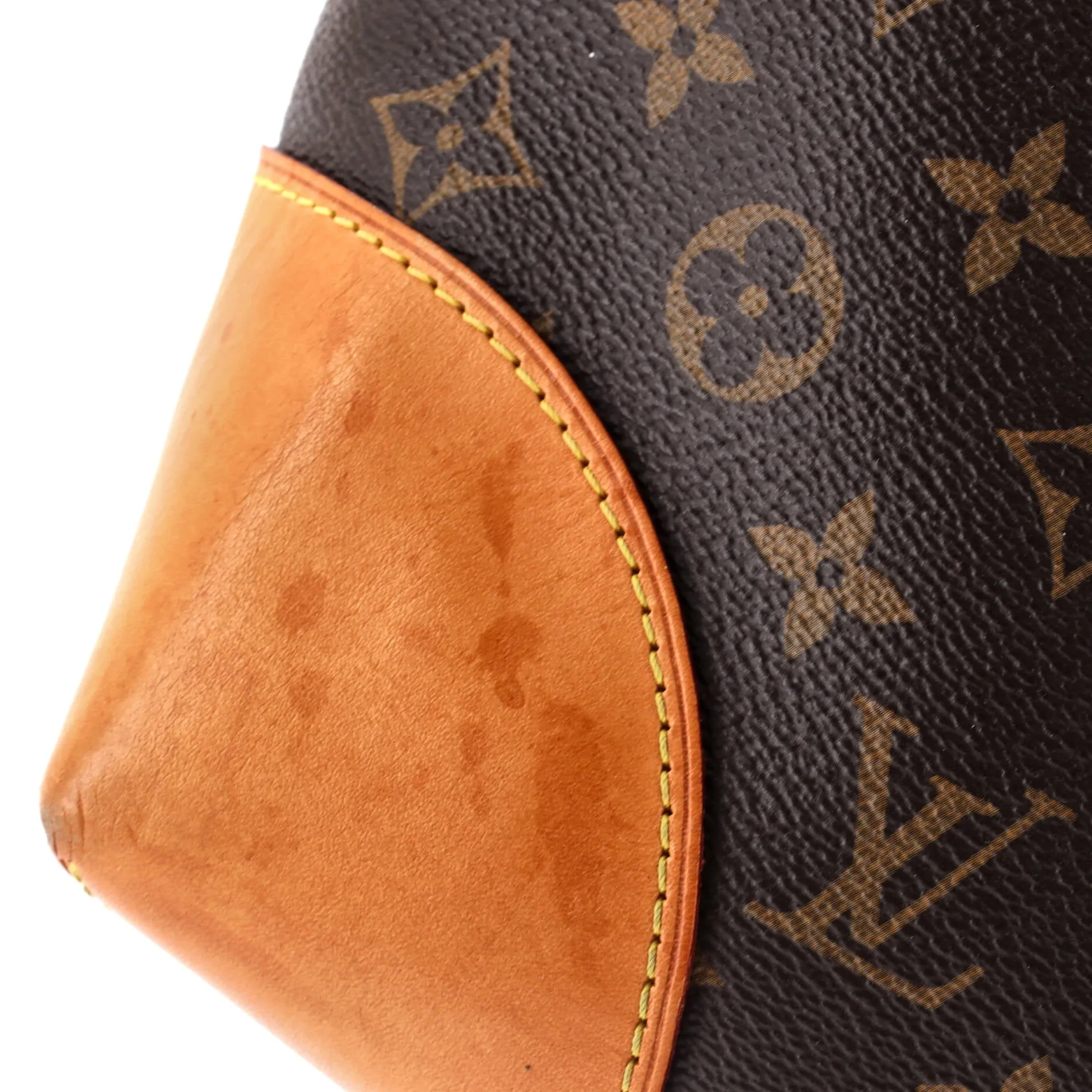 Berri Handbag Monogram Canvas MM