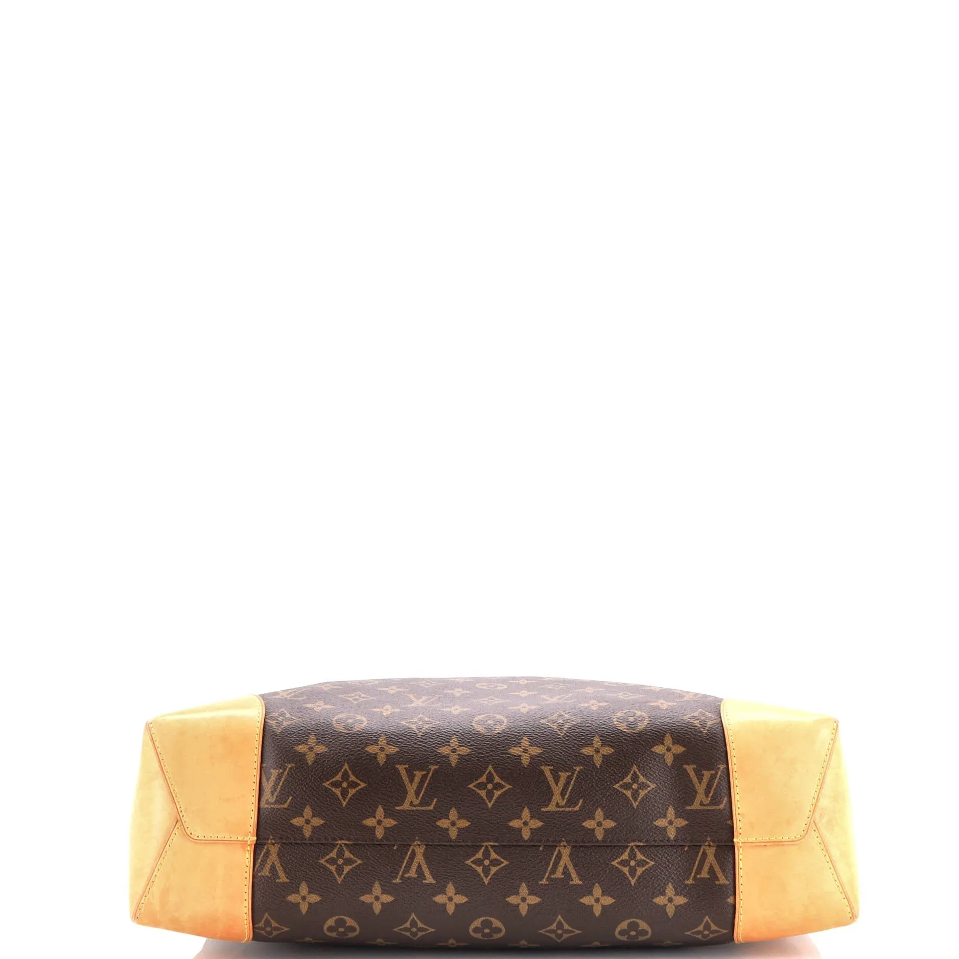 Berri Handbag Monogram Canvas MM