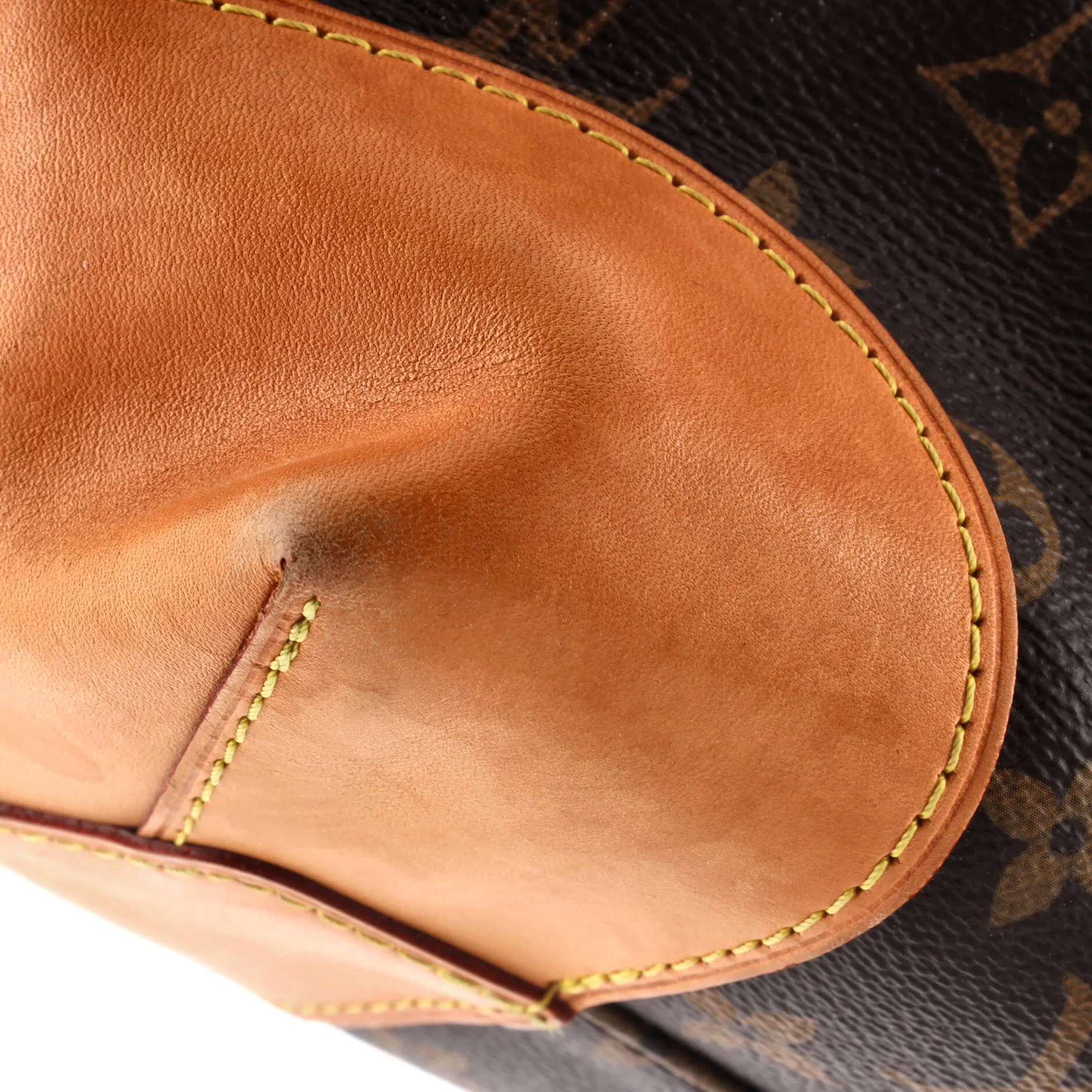 Berri Handbag Monogram Canvas PM