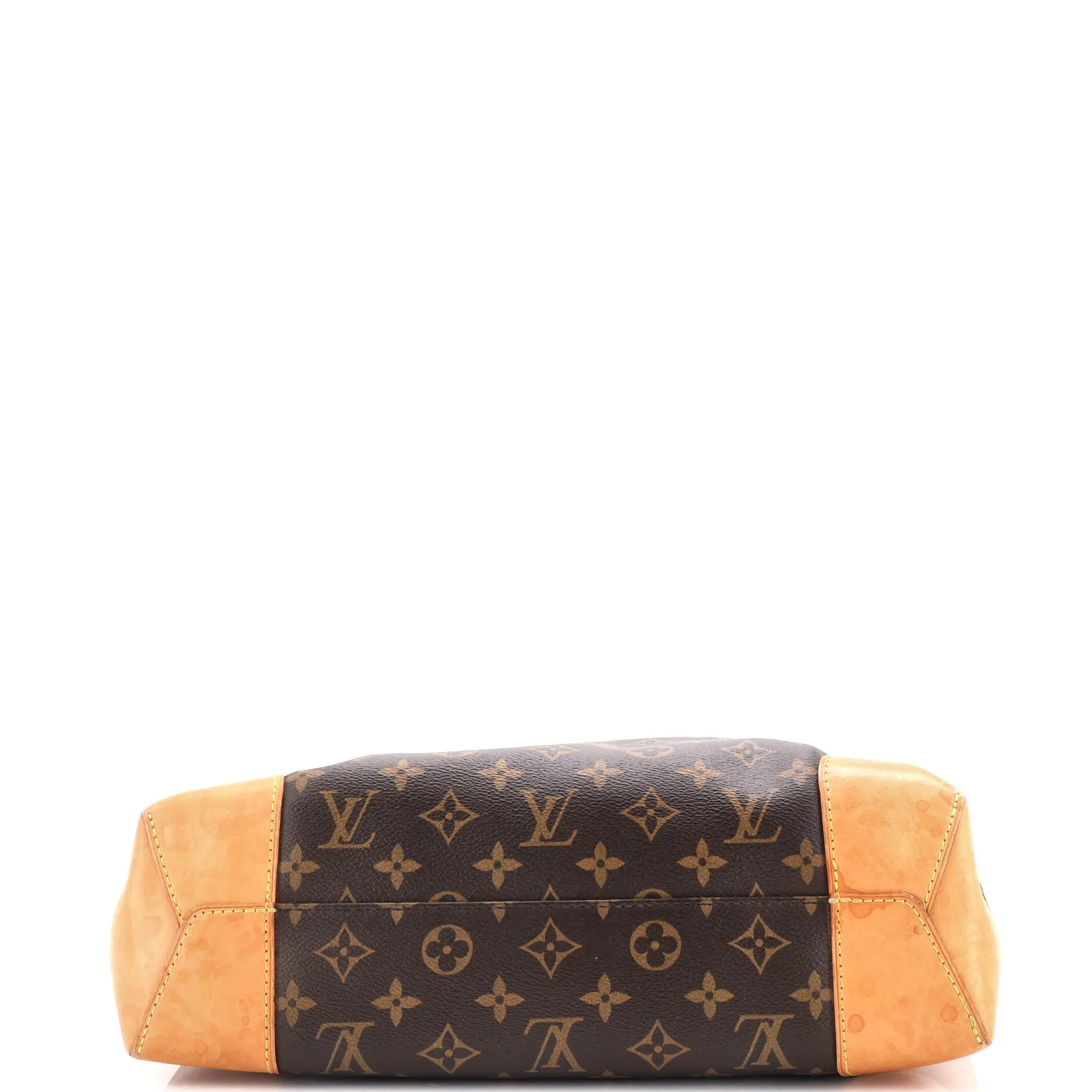 Berri Handbag Monogram Canvas PM